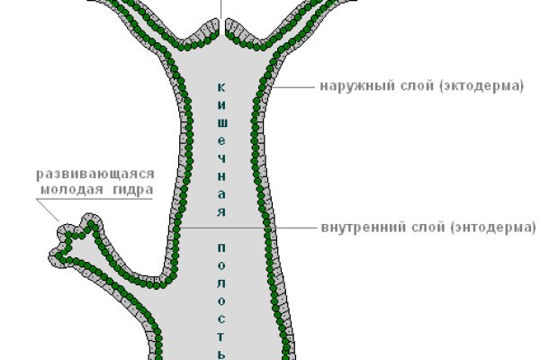 Обменник биткоин в мегу