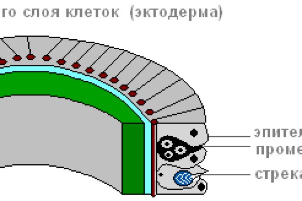 Сколько ждать перевода от обменника на блэкспрут