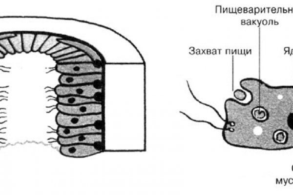 Мега даркнет маркет ссылка тор