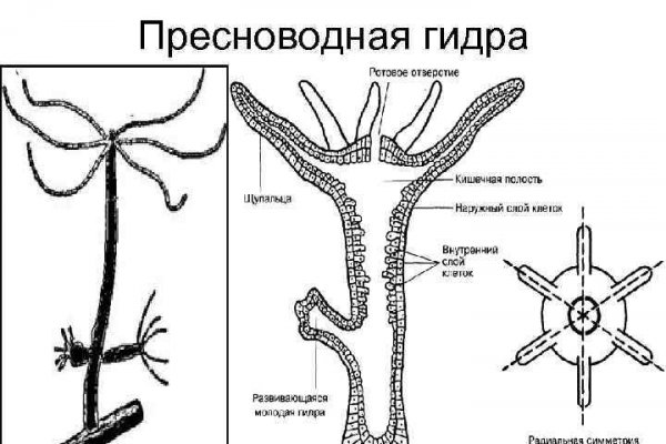 Покупка биткоина с карты сбербанка на меге